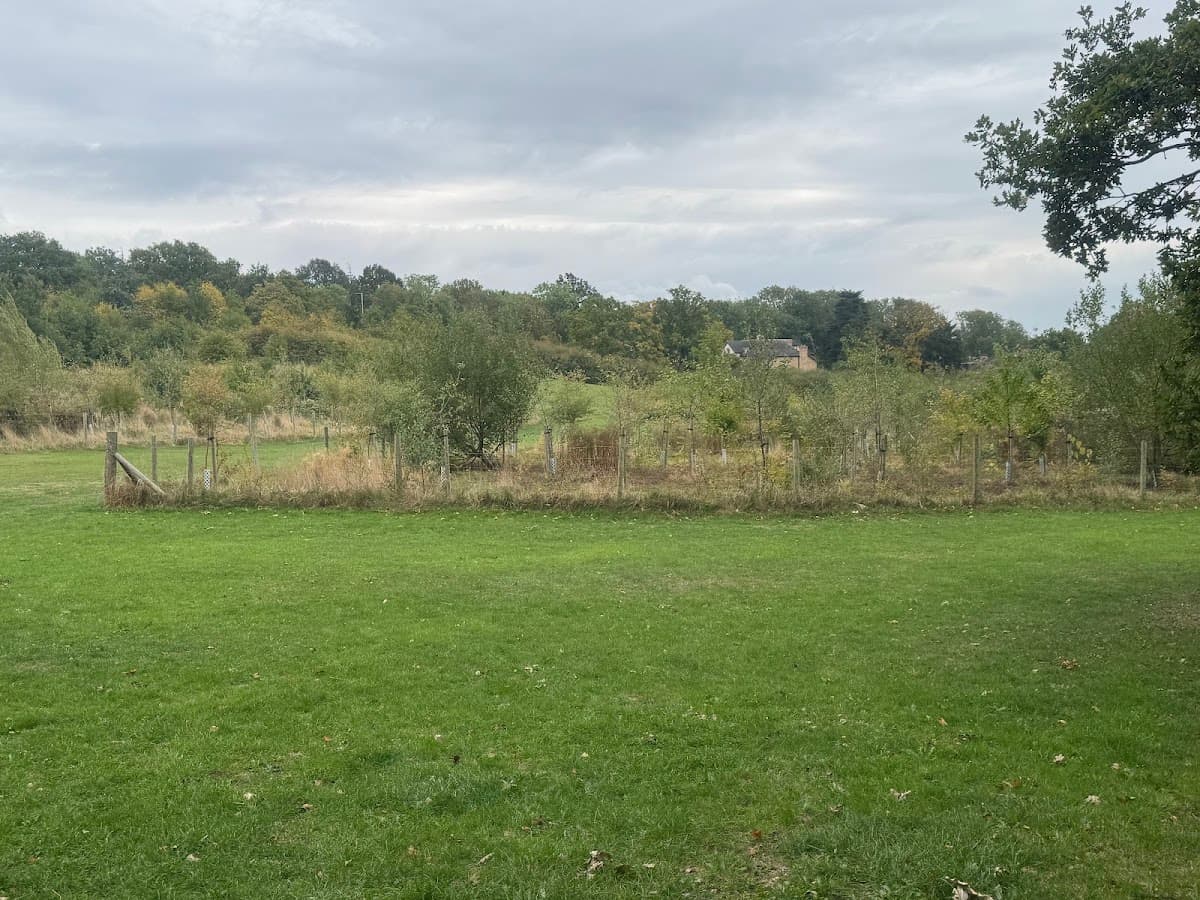 Mill Hill Park — tennis venue in London