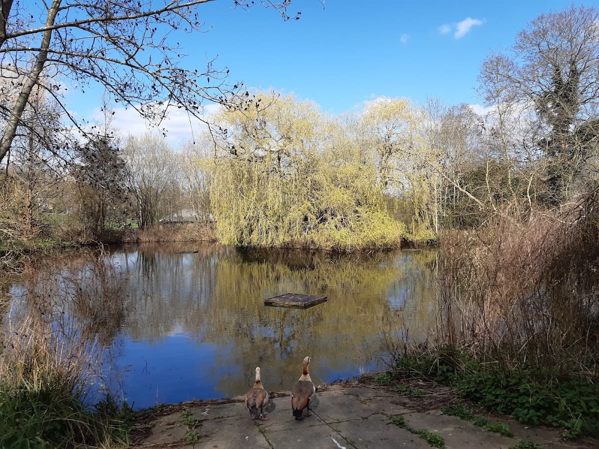 Sydenham Wells Park — tennis venue in London
