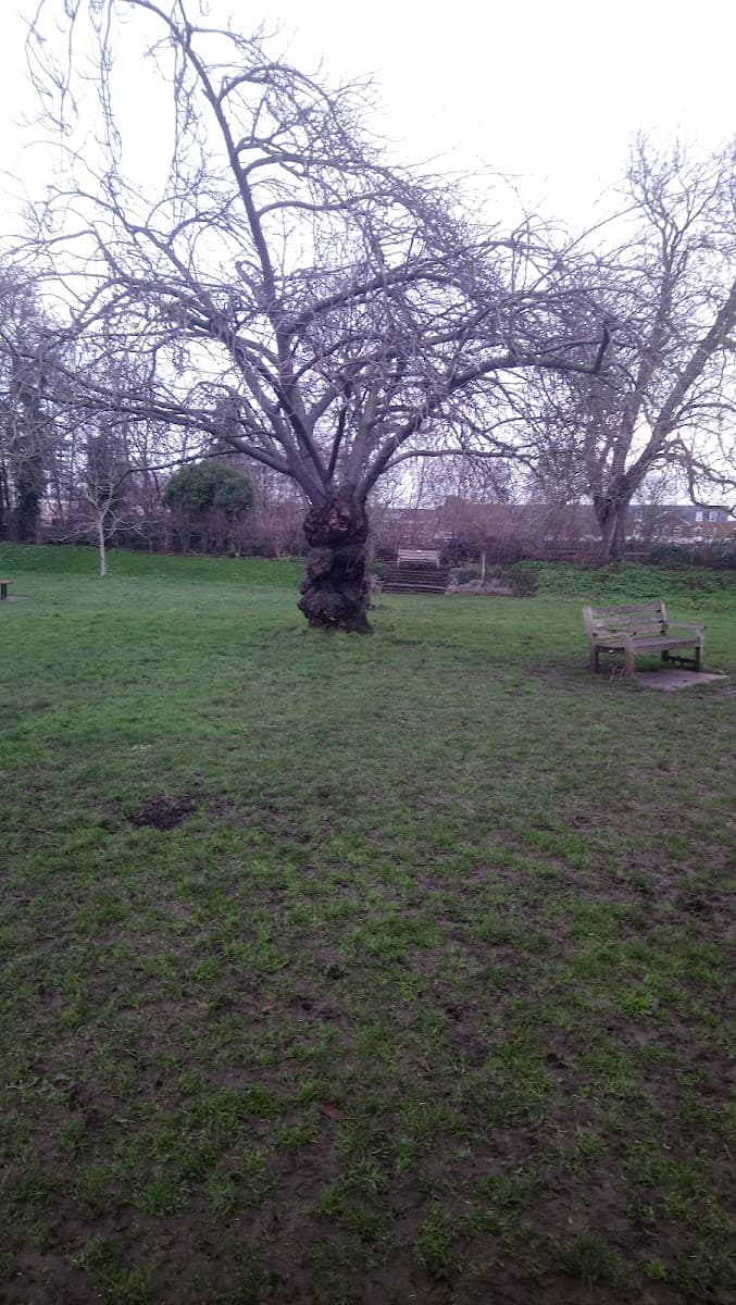 Westerly Ware — tennis venue in London